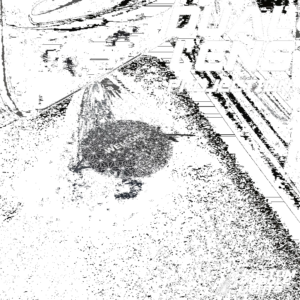 Tesla Cybertruck Dynamic Dual Lens Premium Door Puddle Lights Multiple Designs 2024-2026 1