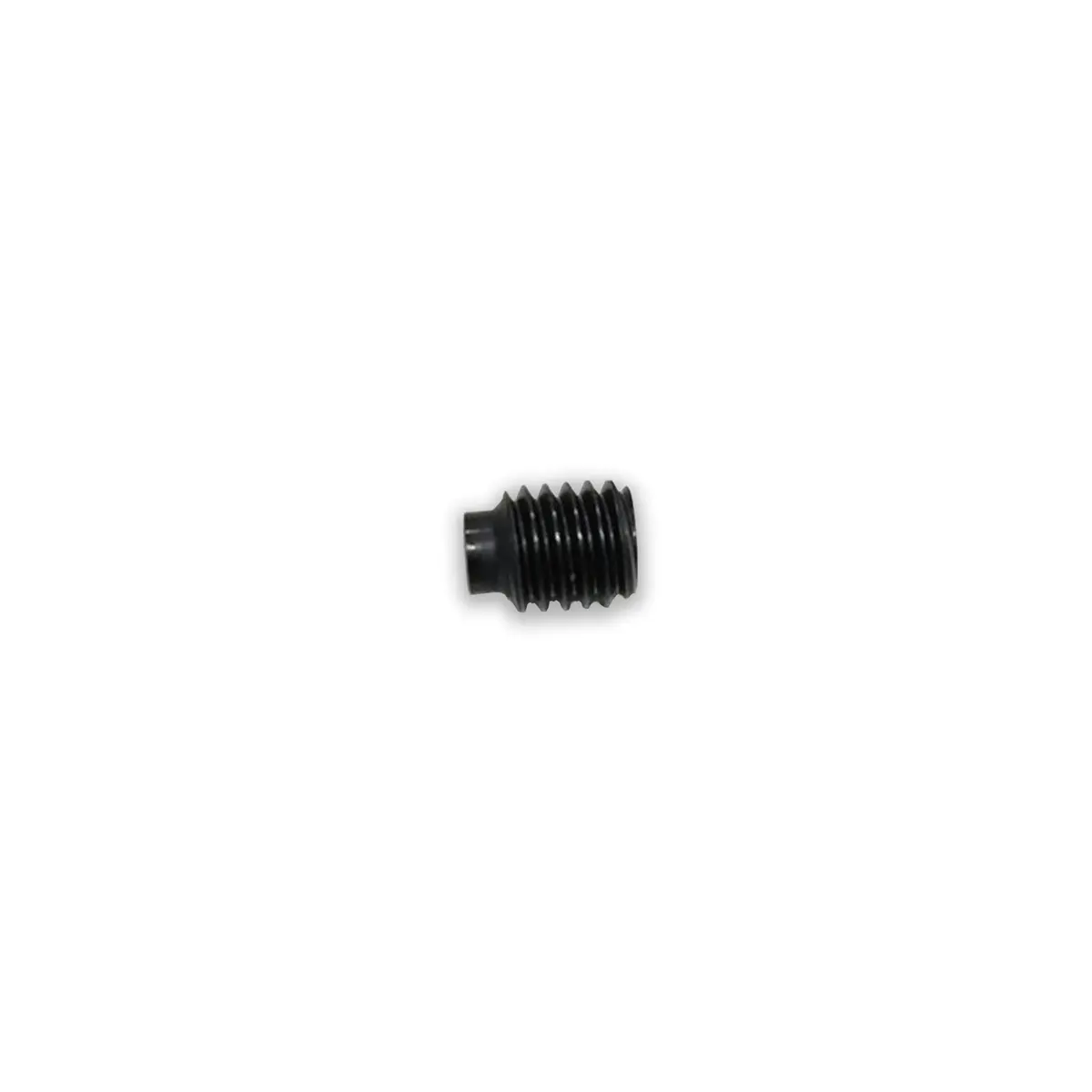 101194 - Set Screw, Socket Head 1