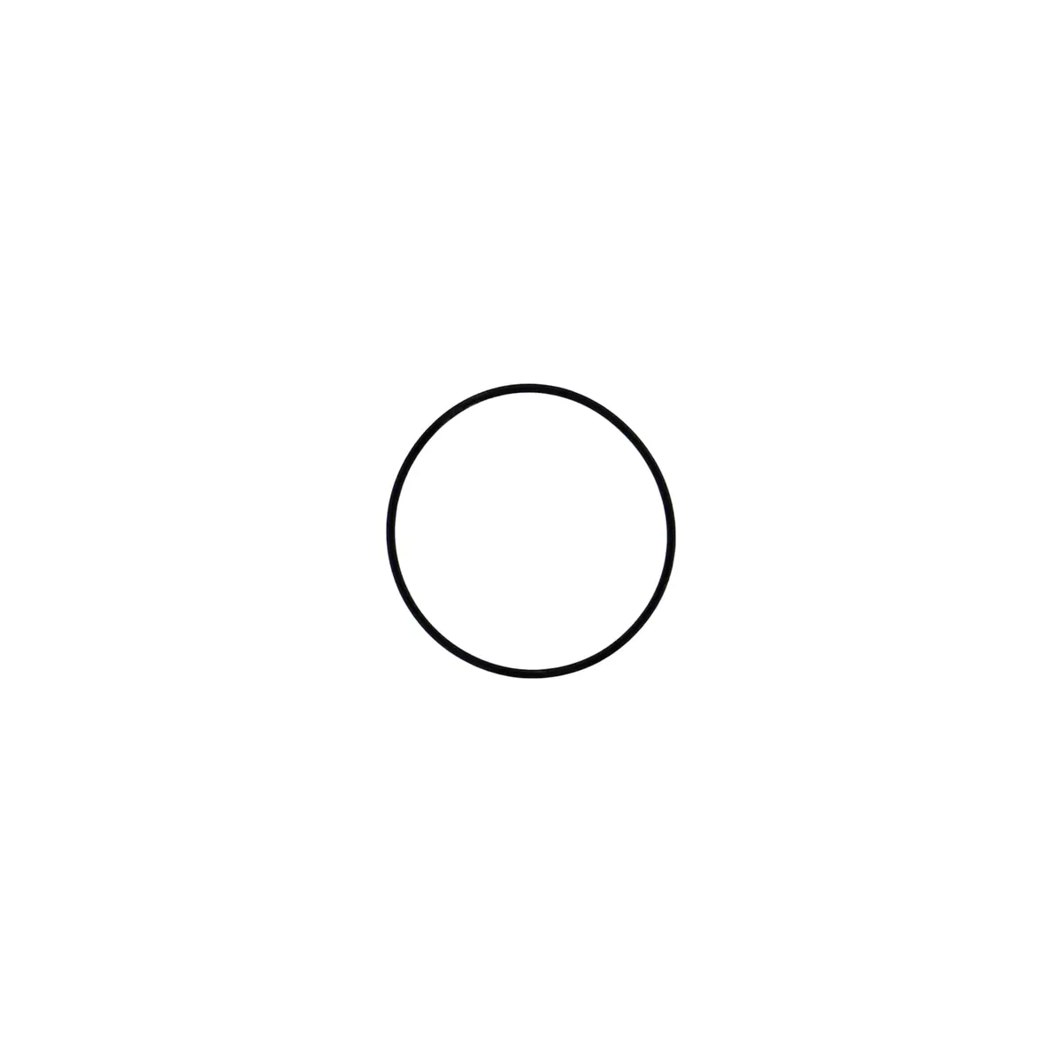 106258 - O-Ring 1