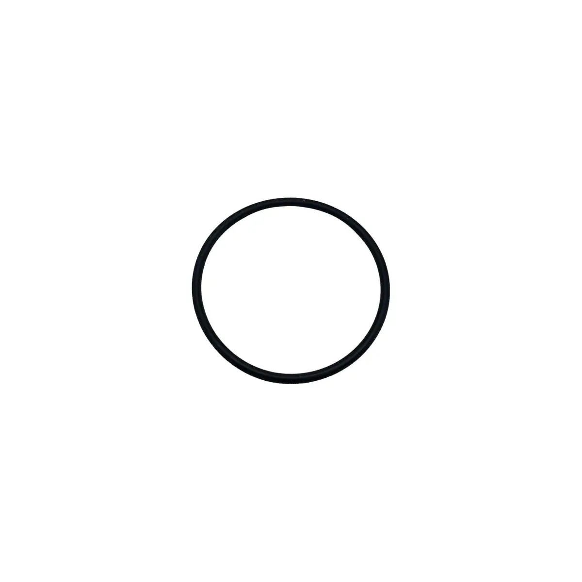 107563 - O-Ring 1