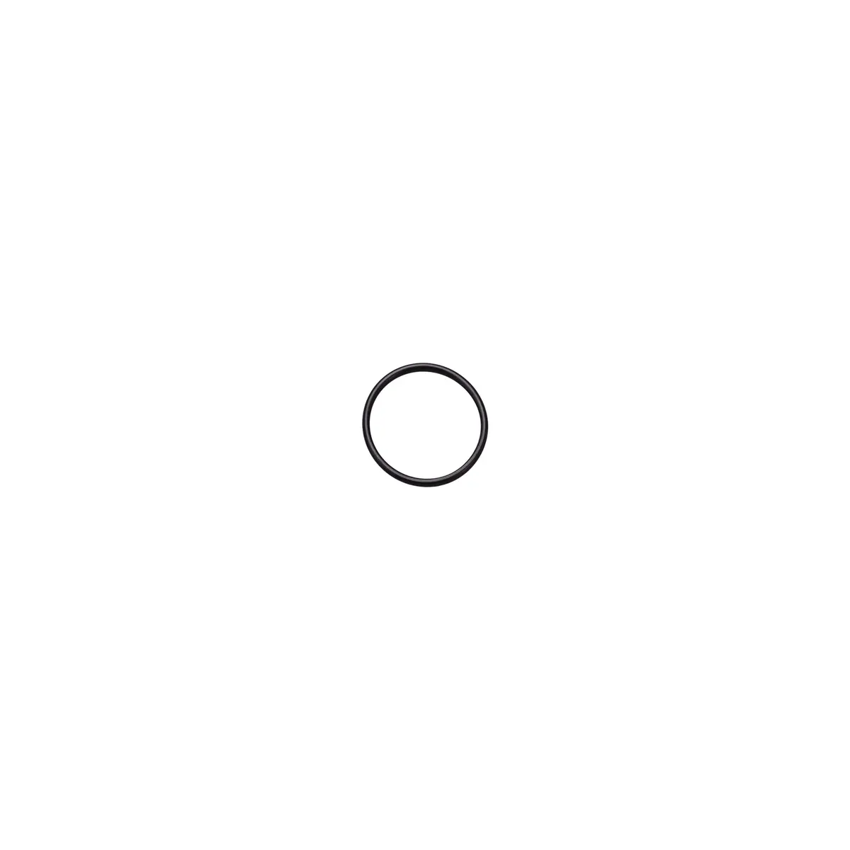 111819 - O-Ring 1