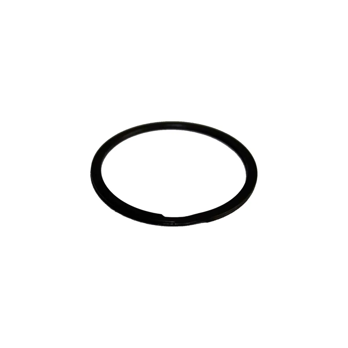 116550 - Retaining Ring 1