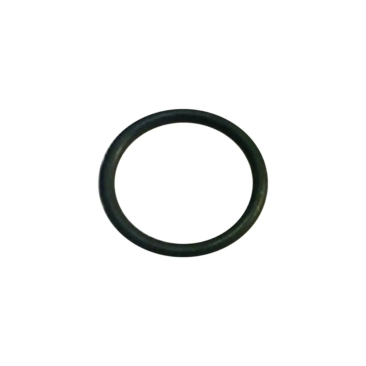 117517 - O-Ring 1
