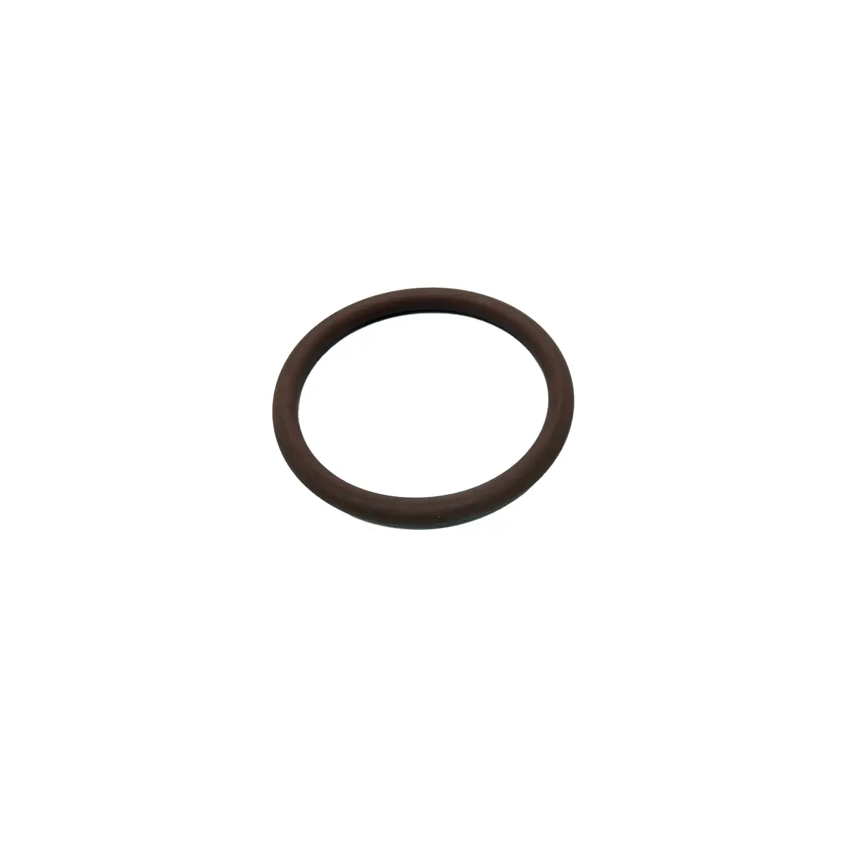 120207 - Inner O-Ring 1