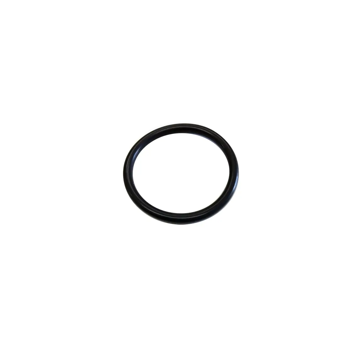120998 - O-Ring, O.D. 1