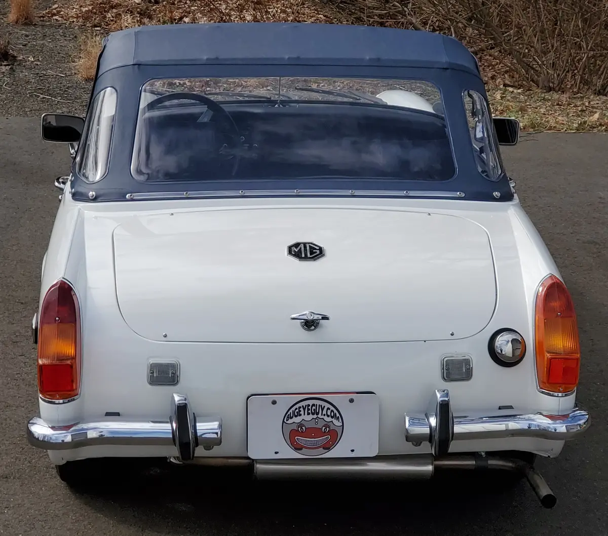 Trunk "Mg" Plastic Badge (1970-1976) 1