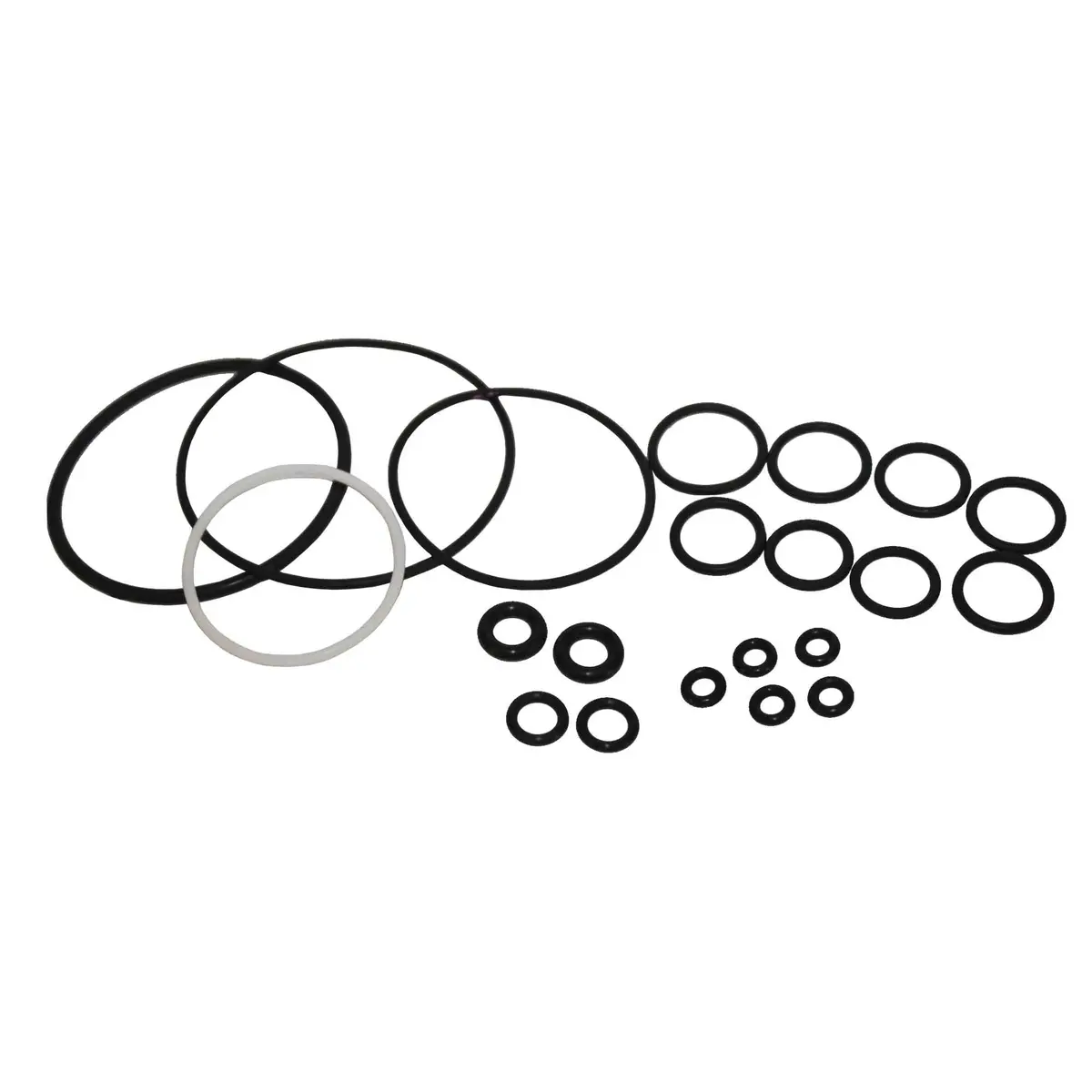 246355 - Complete O-Ring Repair Kit 1