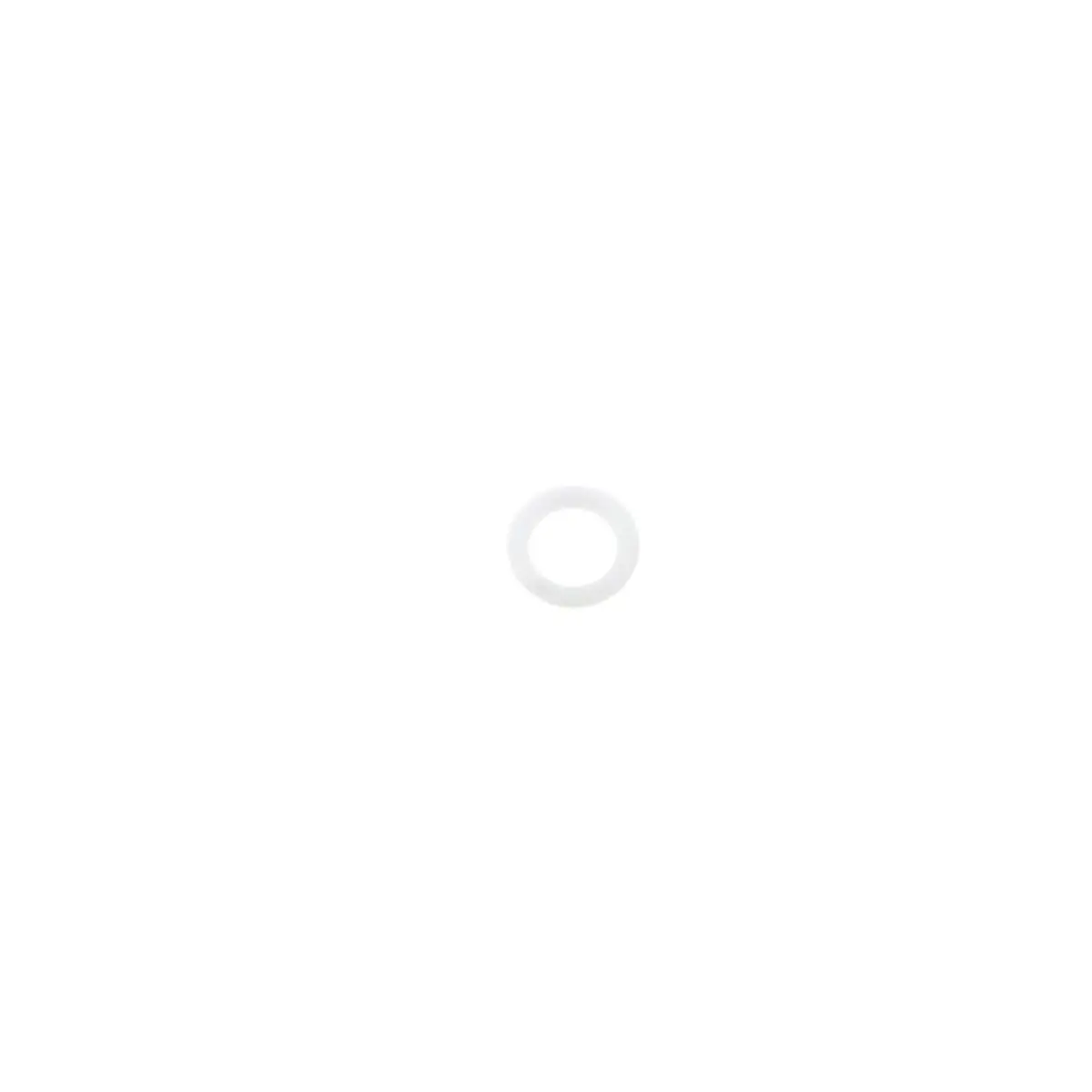246360 - Ptfe O-Ring For Flat Tip Fusion Ap Gun 1
