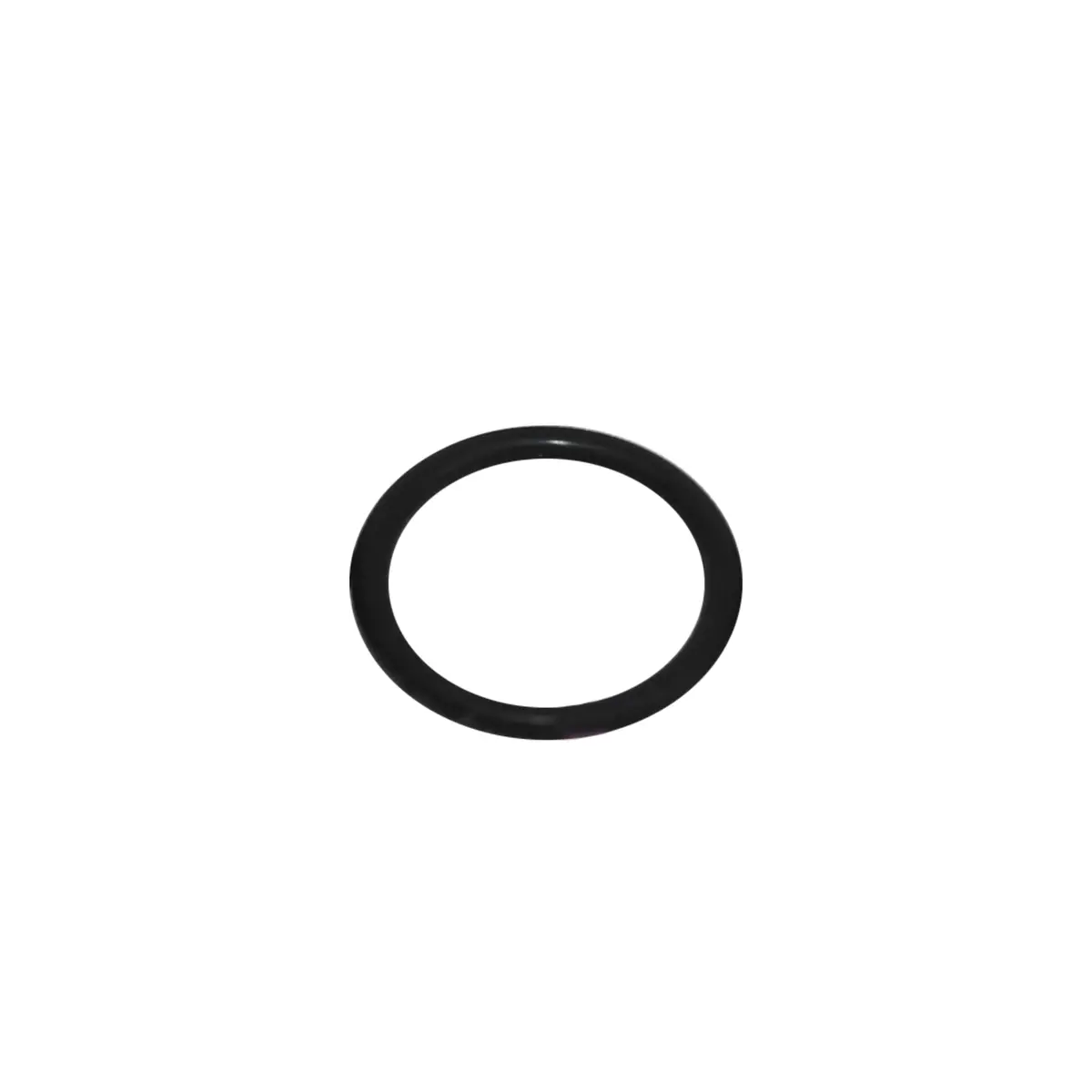 248131 - Front O-Ring (Pack Of 7) 1