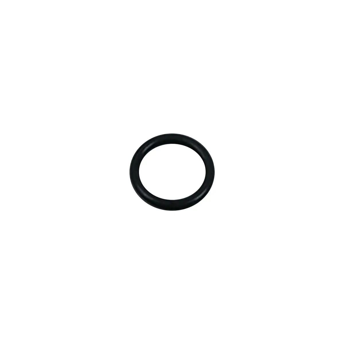 248133 - Check Valve Face, O-Ring (Pack Of 6) 1