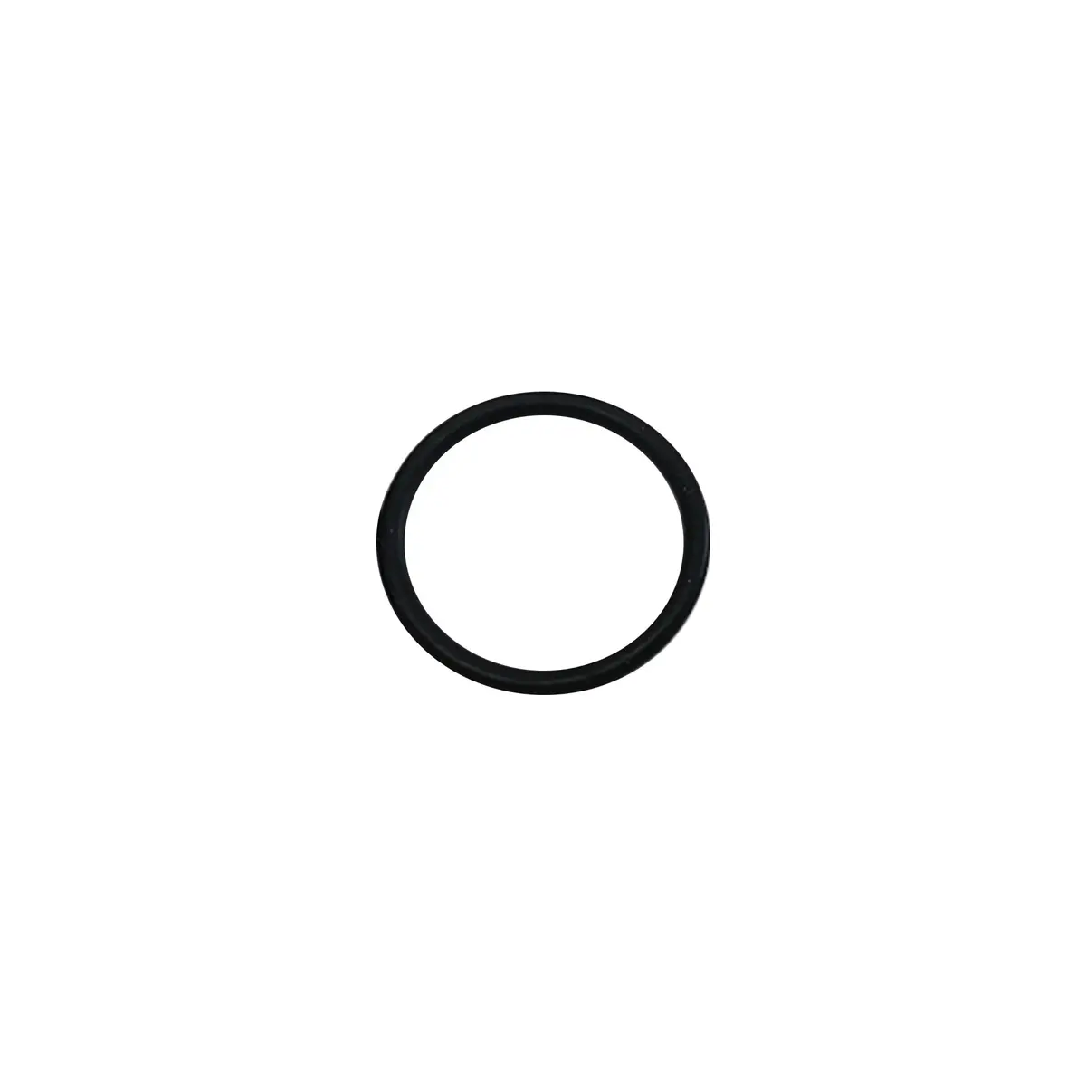 248134 - Piston Shaft O-Ring (Pack Of 6) 1