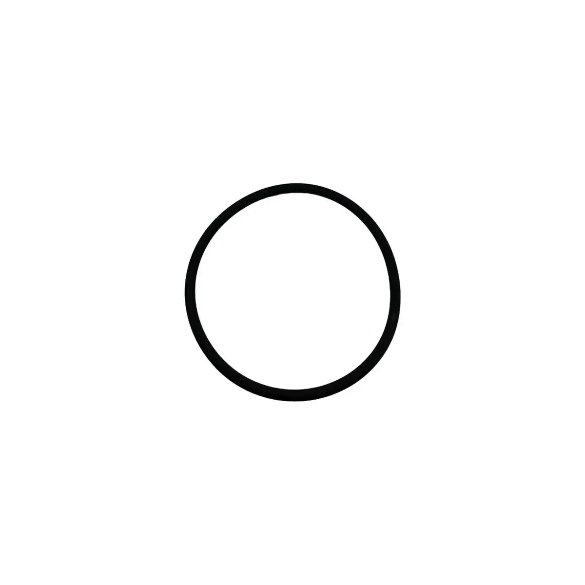 248135-R  - Kit, O-Ring, Large Piston, Reusable (10 Pk) 1