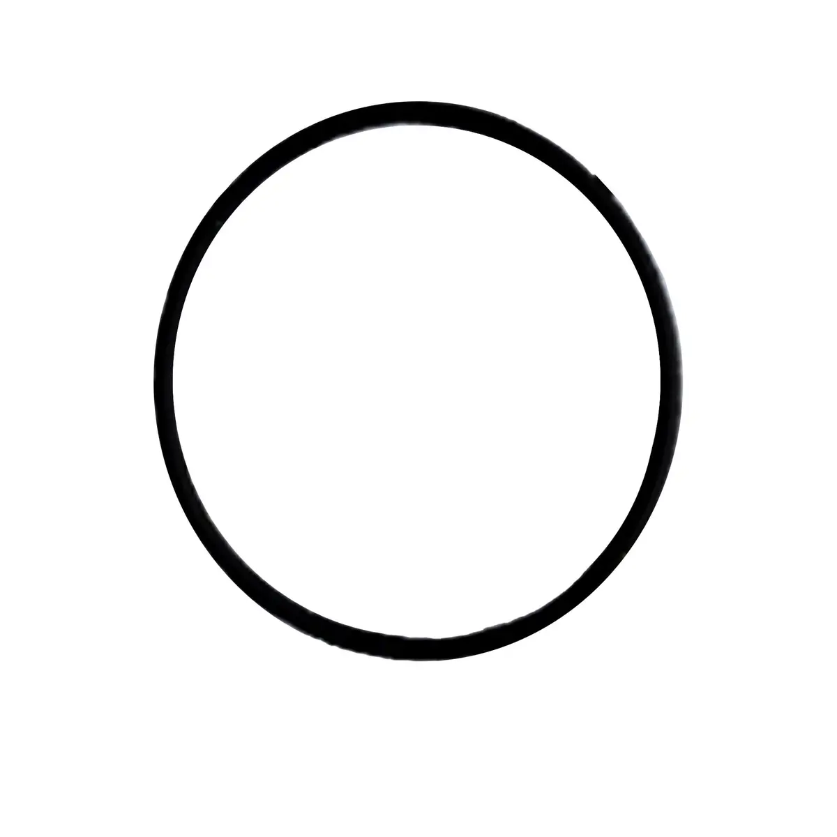 256773 - O-Ring (Pack Of 6) 1