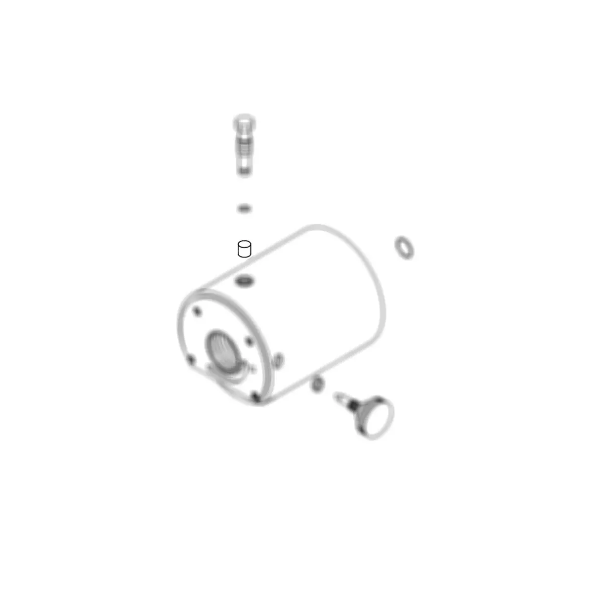 295667 - Pellet 1