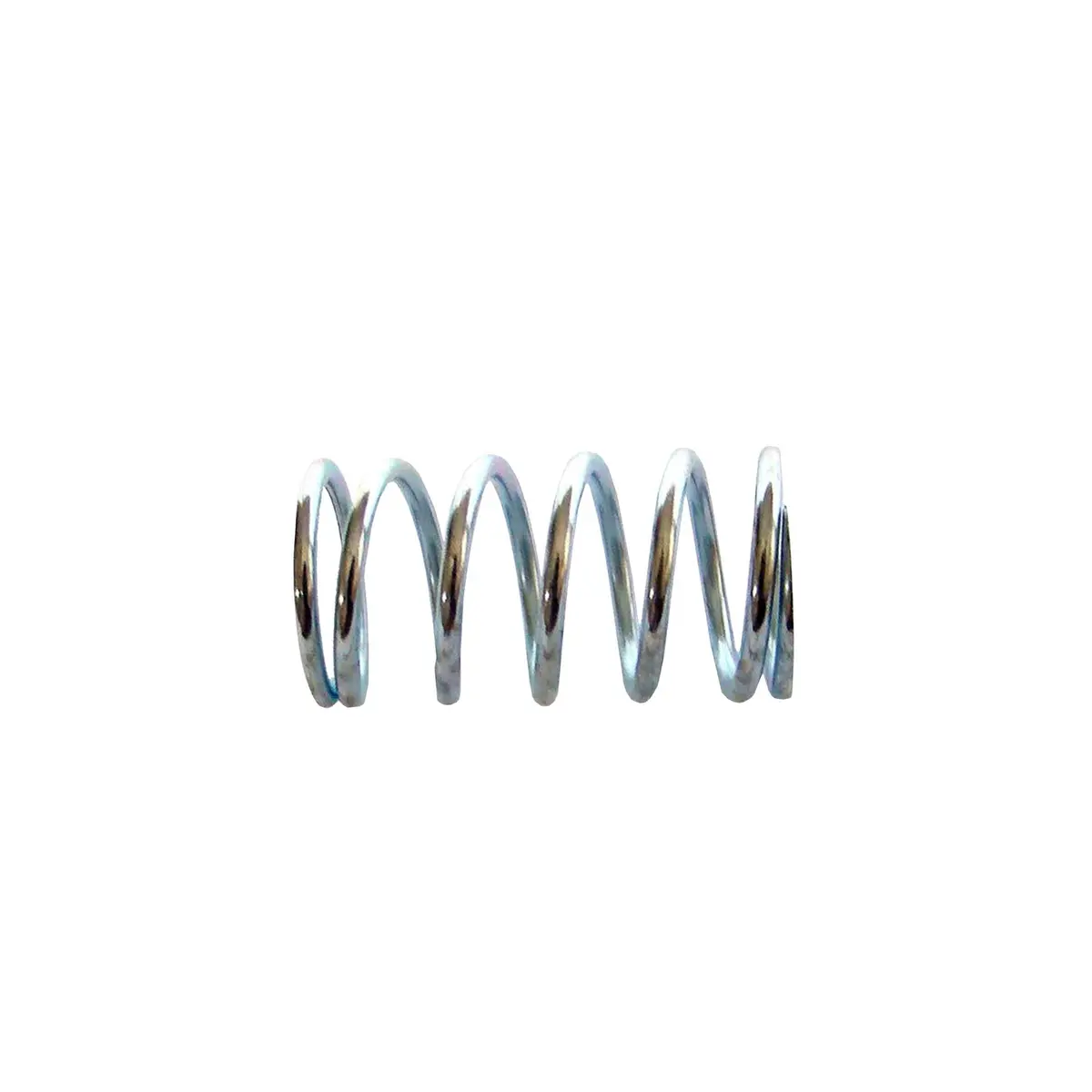 295668 - Spring 1