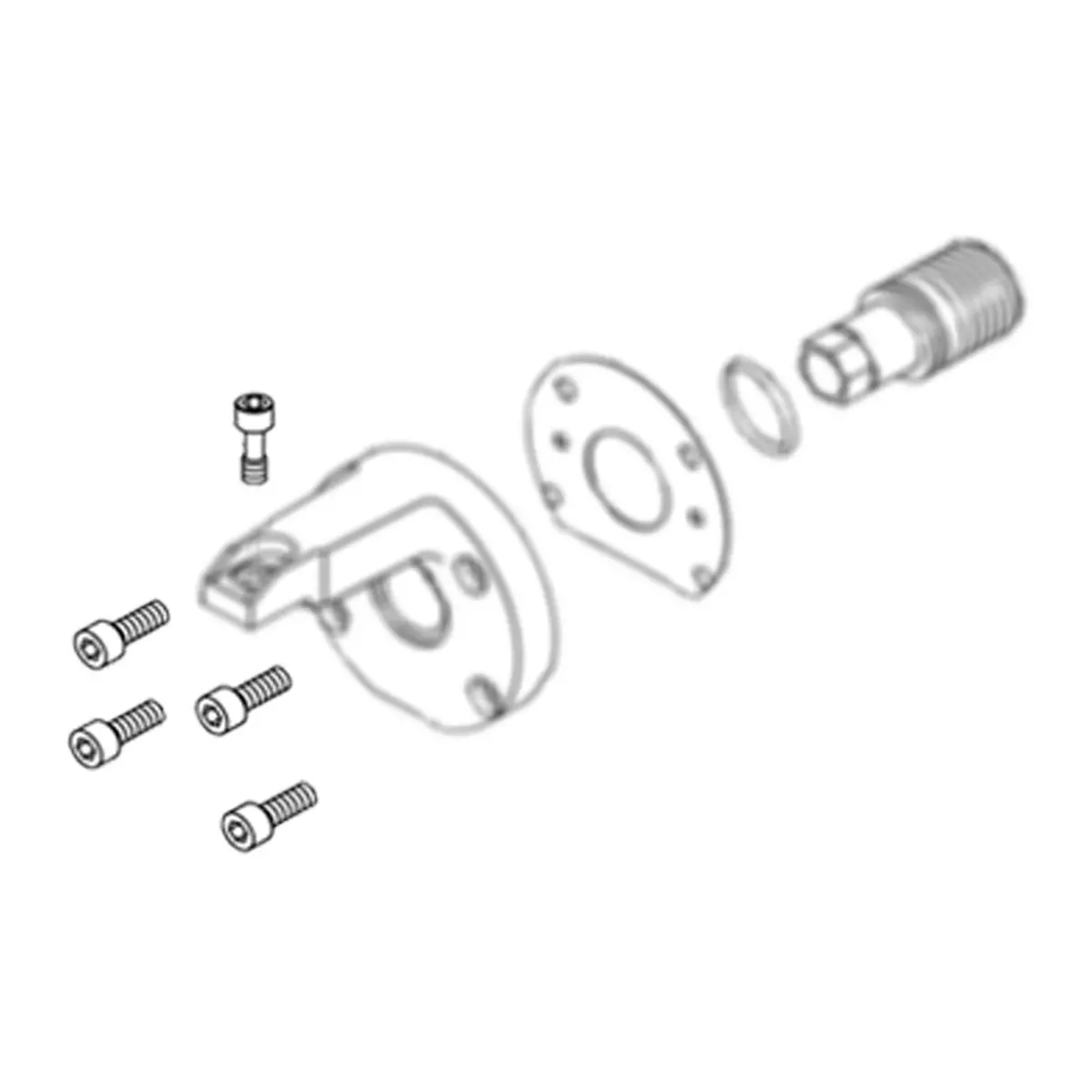295669 - Modified Cap Socket-Head Screw 1