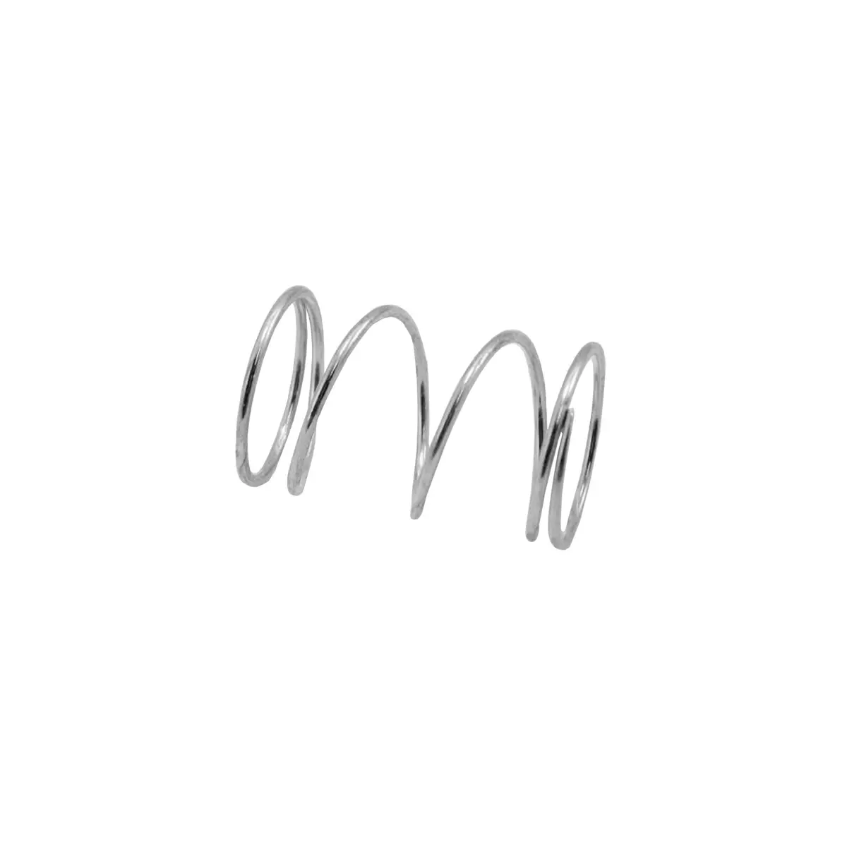 295676 - Spring 1