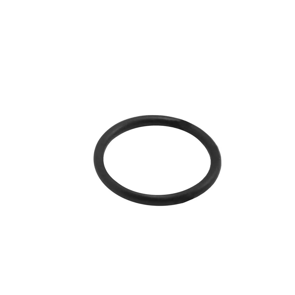 295683 - O-Ring 1