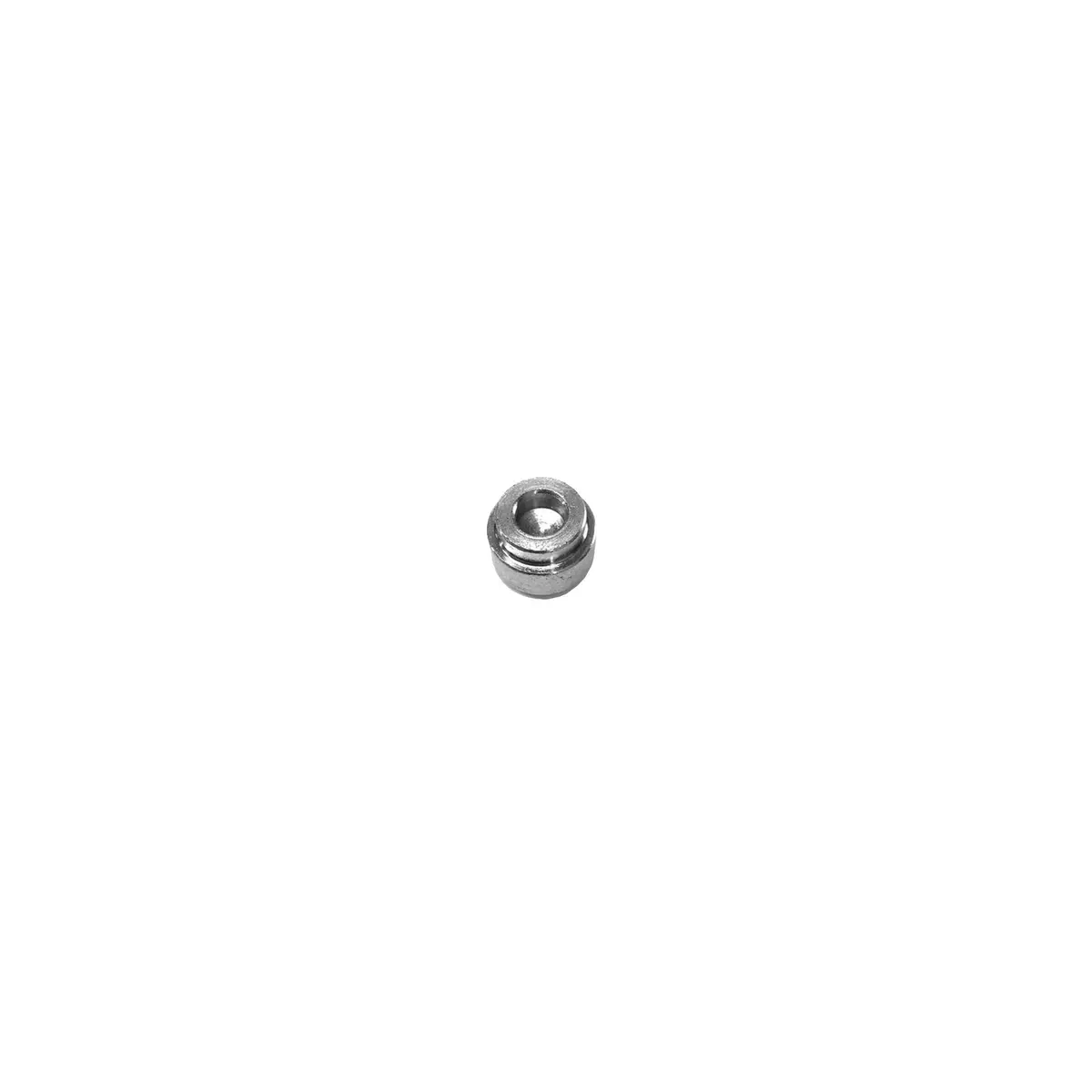 295689 - Seat Spring 1