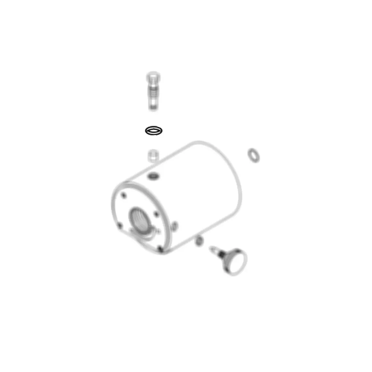 295706 - O-Ring 1