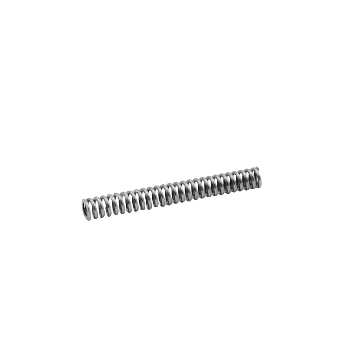 296971 - Spring 1