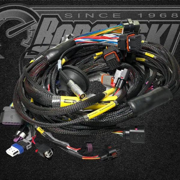 Custom Emtron-Borowski Race Engines Ls Wiring Harness 1