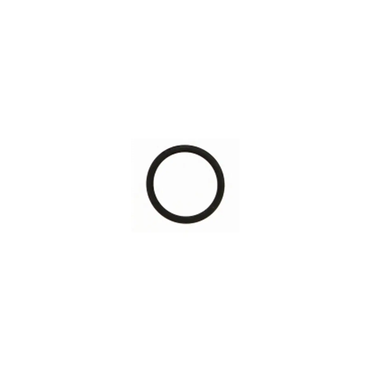 514129 - O-Ring 1