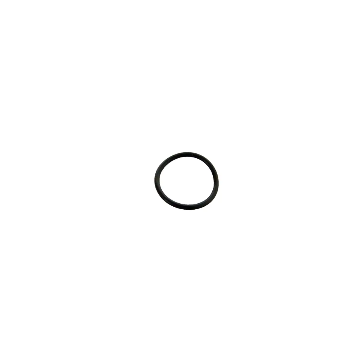 722834 - O-Ring 1