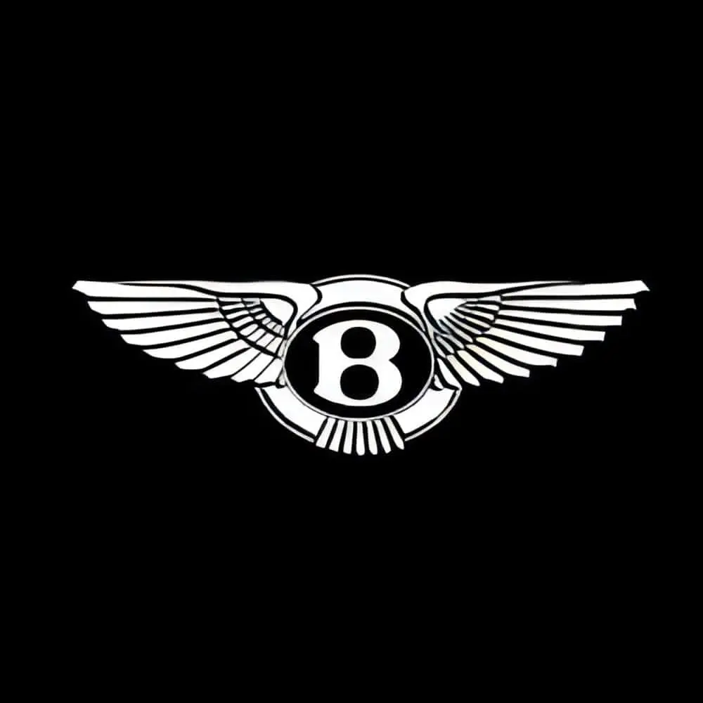 Bentley Continental Gt Premium Door Puddle Lights Multiple Designs 2003-2026 7