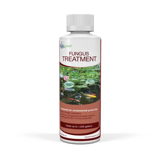 Aquascape Fungus Treatment 1