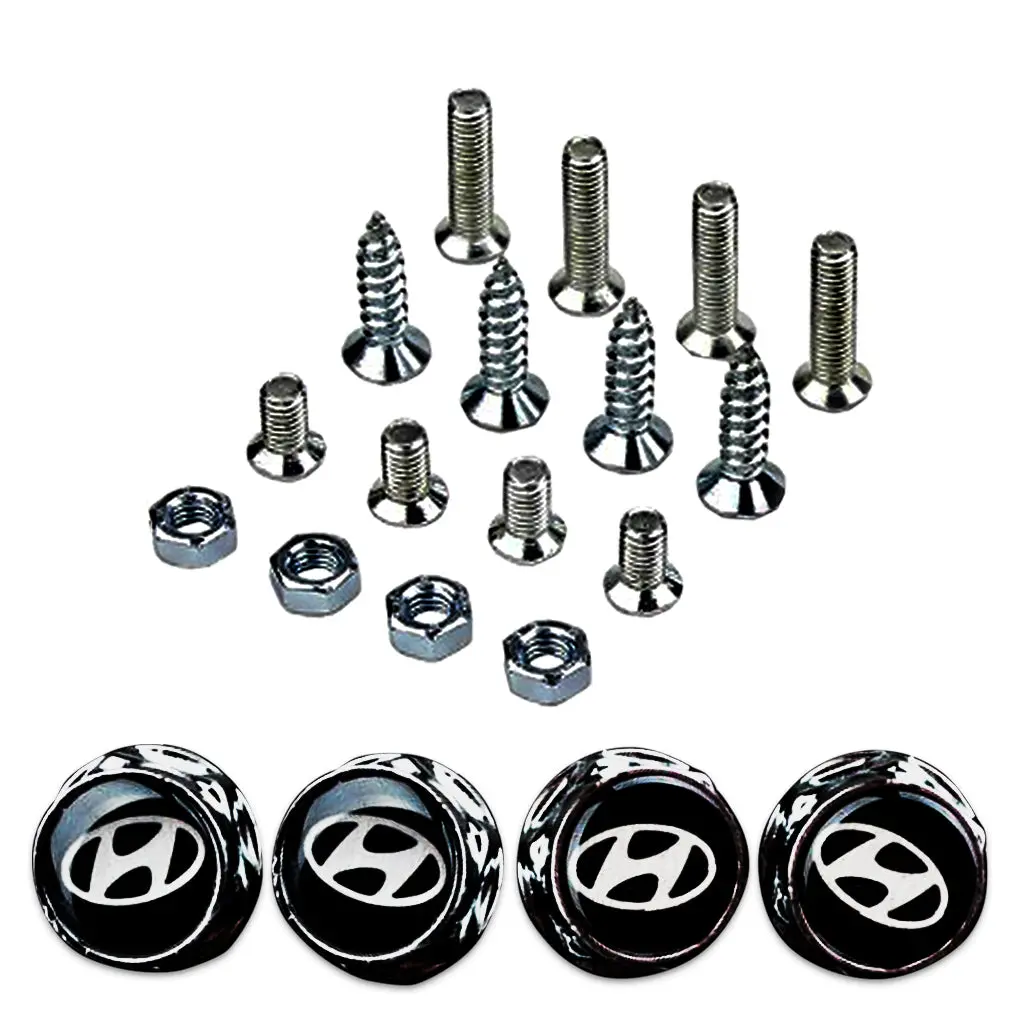 Hyundai Car License Plate Frame Screws 1