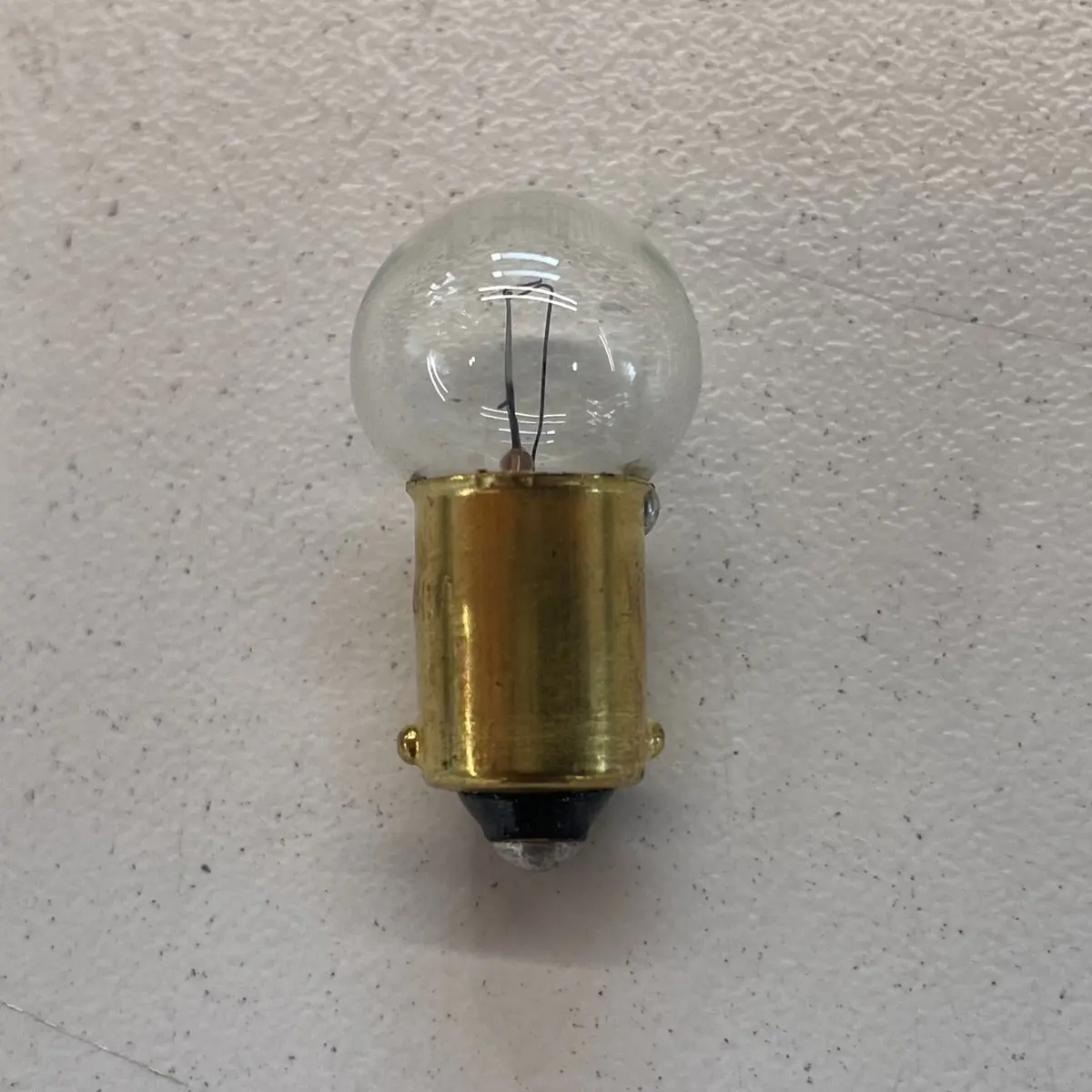 License Lamp Bulb 1