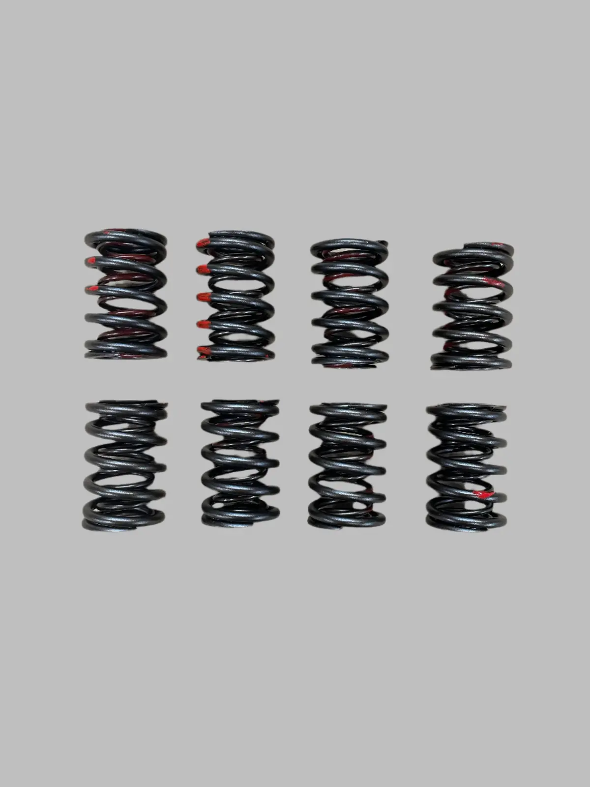 948 Valve Spring Set 1
