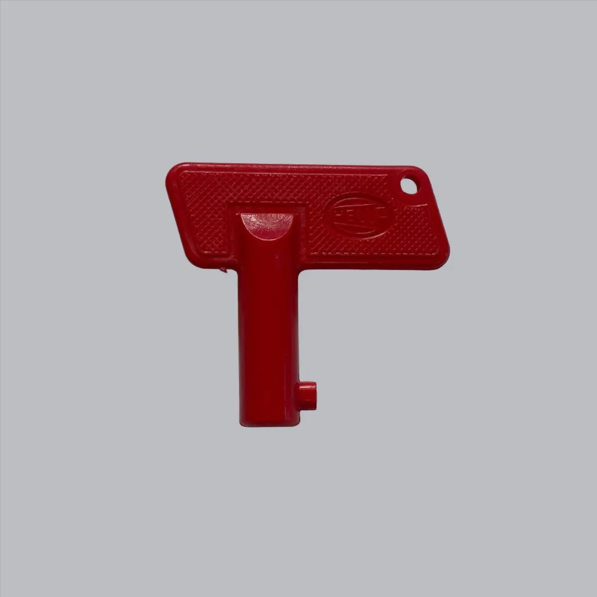 Battery Kill Switch Replacement Key 1