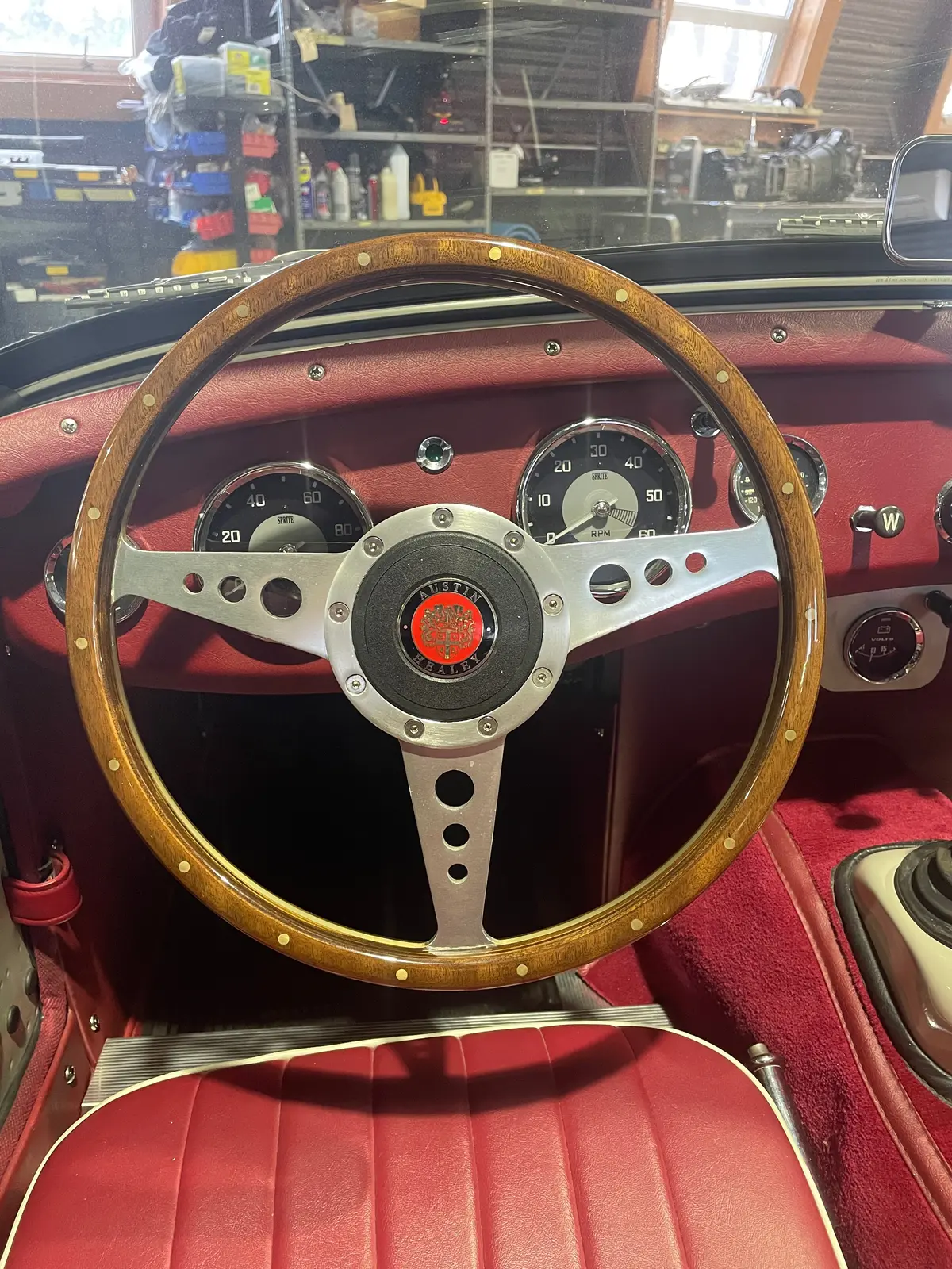 Austin-Healey Plastic Horn Push (All 9-Bolt Steering Wheels) 1