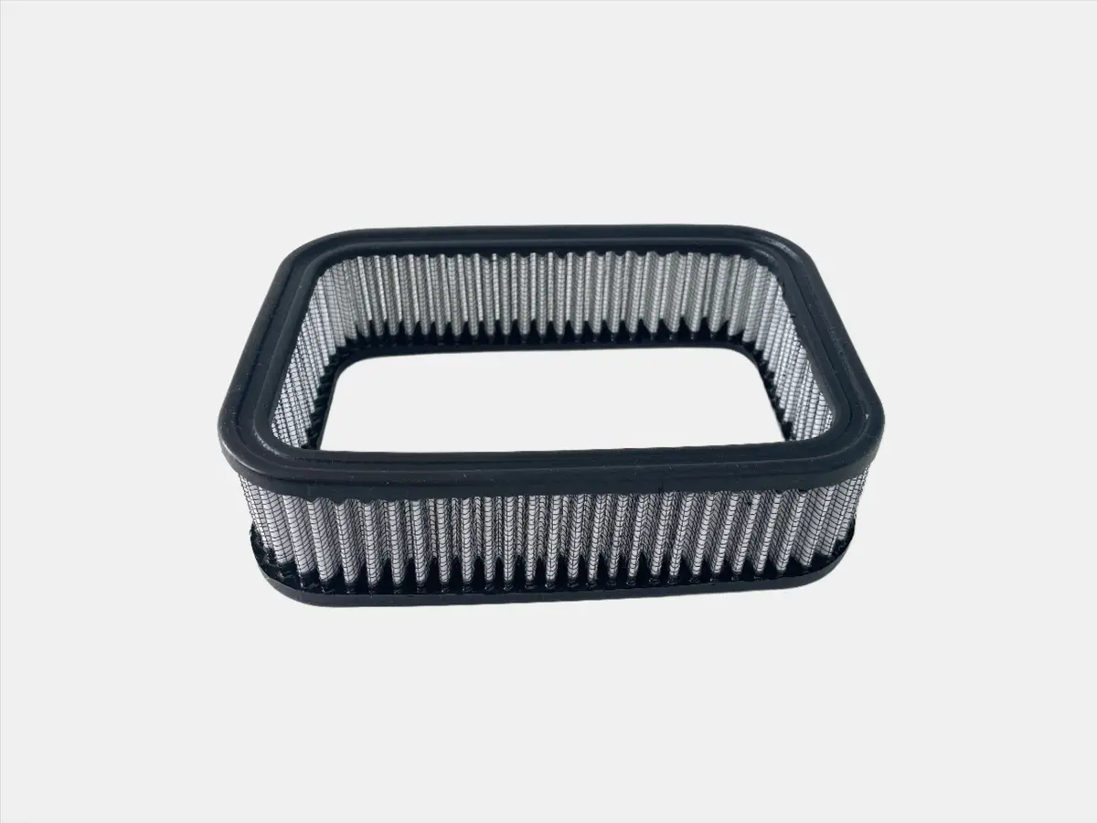 Weber Dgv Replacement Filter 1