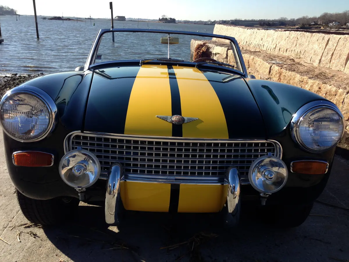 Spridget Grille Assembly 1