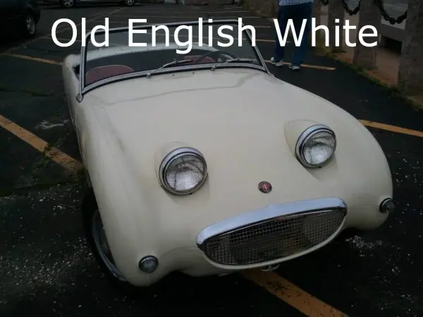 Bugeye Original Color Spray Or Touch Up Paint 1