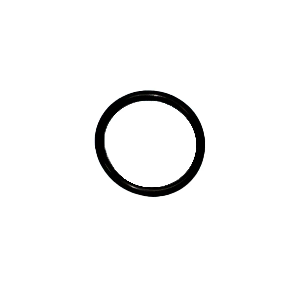 C20207 - O-Ring 1