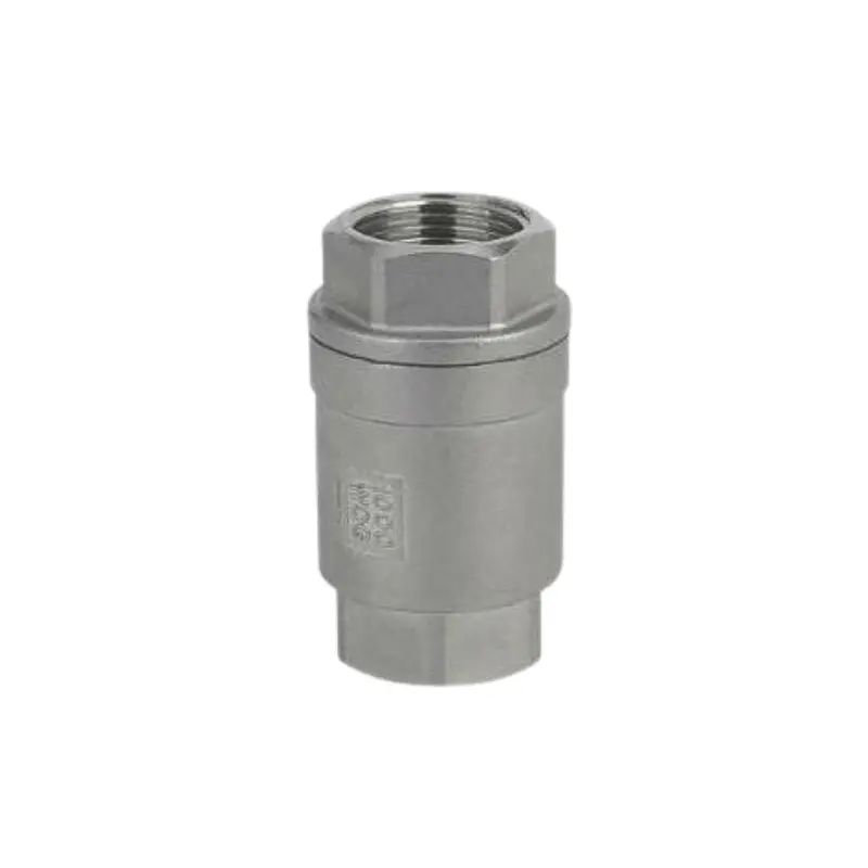 Go 316 Stainless Two Piece Scr Check Valves Bsp 1