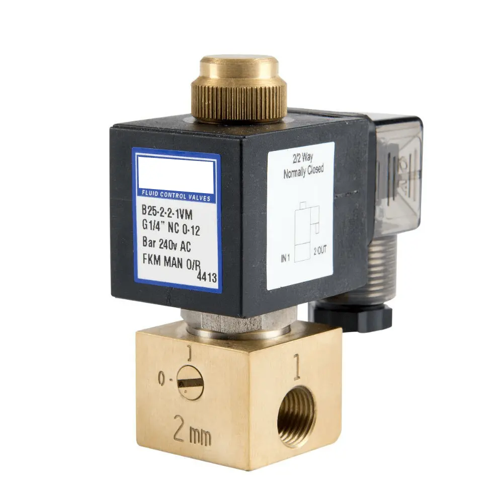 Go B25 1/4" Brass Direct Acting Normally Closed Solenoid Valve 1
