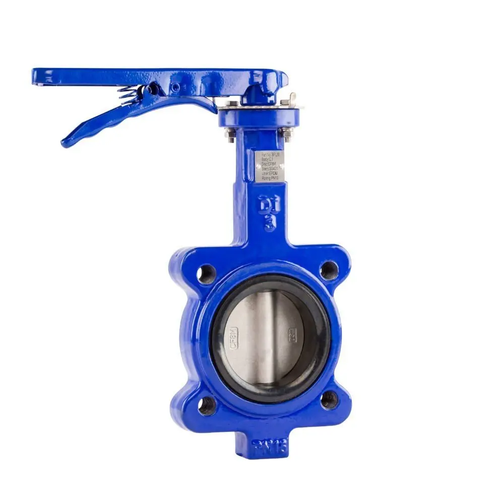 Go Ci Body 316 Ss Disc Epdm Liner Bfl Butterfly Valves Manual Lugged 1