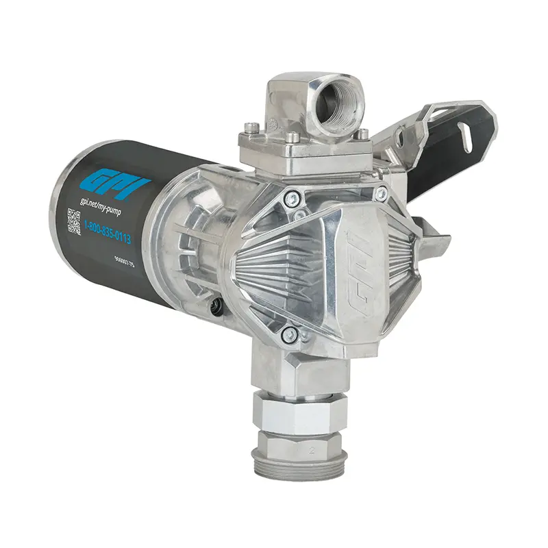 Gpi 12V Dc 76Lpm Transfer Pump 1
