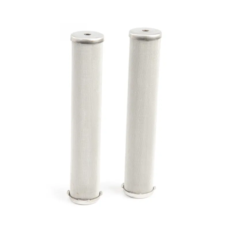 Graco 100 Mesh Filter Kit 1
