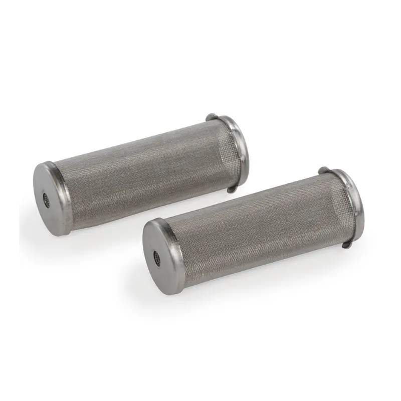 Graco 100 Mesh Short Enamel Filter Kit 2-Pack 1