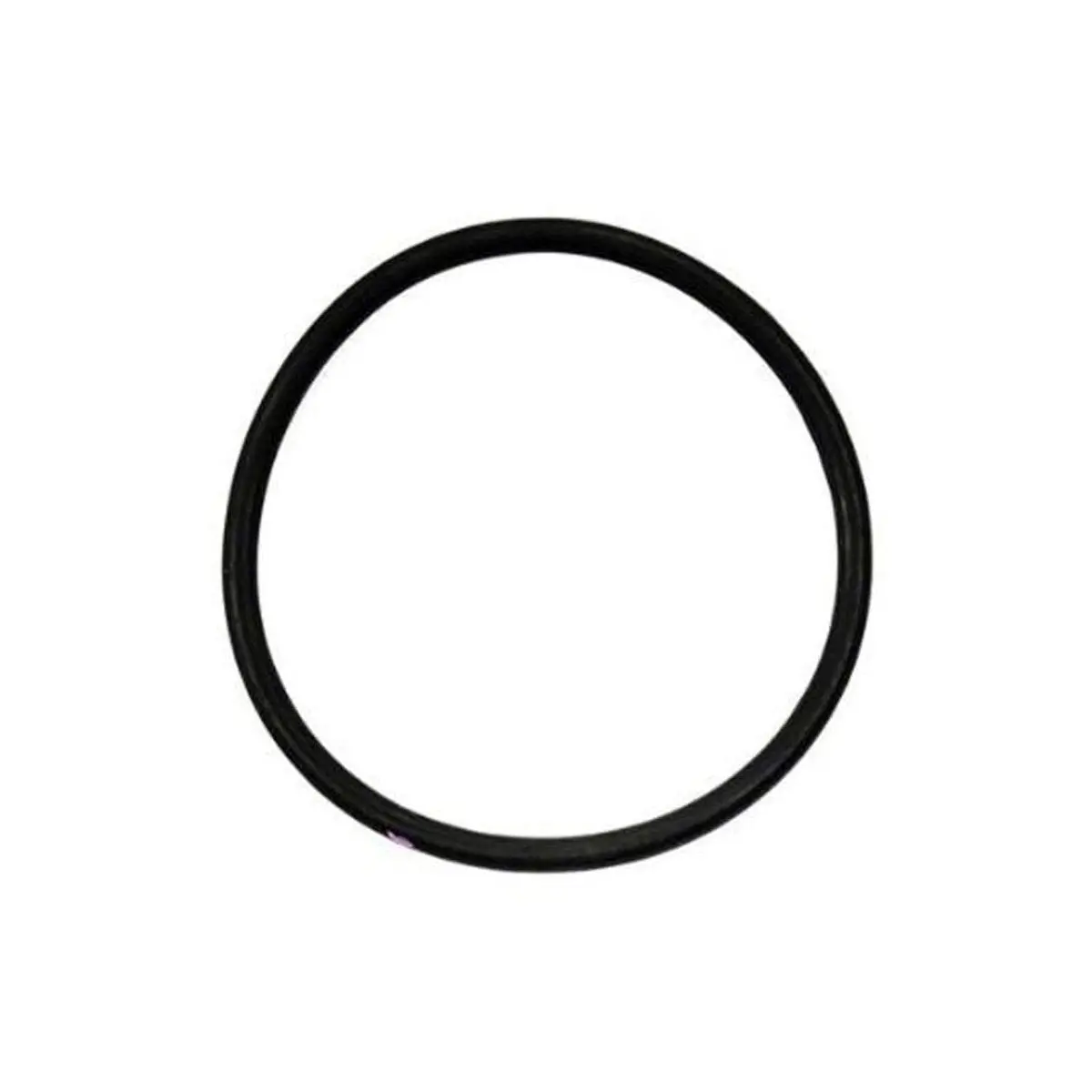 Graco Cylinder O-Ring Packing For Proconnect Endurance Displacement Pump (Singles) 1