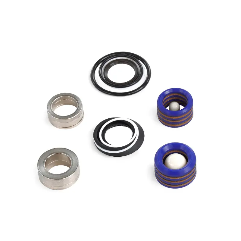 Graco Pump Repair Kit With Ceramic Check Balls 1