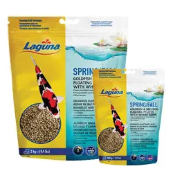 Laguna Spring/Fall Wheat Germ & Spirulina Floating Food 1