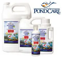 Pondcare Api Algae Clean 1