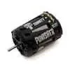 Trinity Punisher Spec Class Sensored Brushless Motor (13.5T) 1